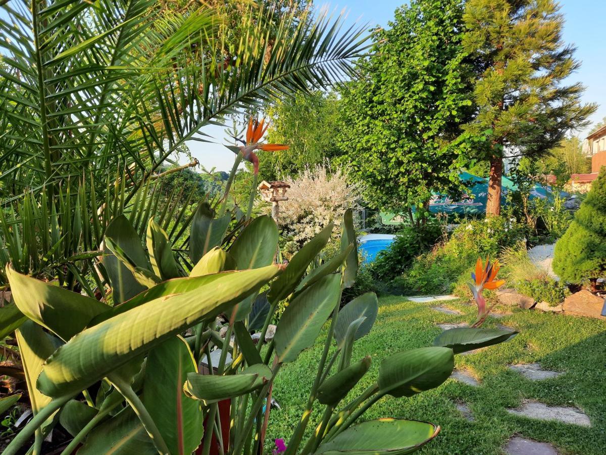 Penzion Zahrada Nad Rekou, Restaurace A Kavarna - Parkovani Gratis Zlata Koruna Экстерьер фото