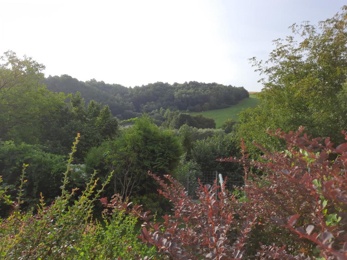 Penzion Zahrada Nad Rekou, Restaurace A Kavarna - Parkovani Gratis Zlata Koruna Экстерьер фото